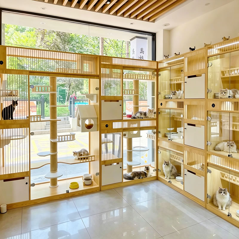 Custom Pet House Display Cabinet with UV Sterilization for Pet Shops - Miland Showcase Custom Pet House Display Cabinet with UV Sterilization for Pet Shops - Miland Showcase